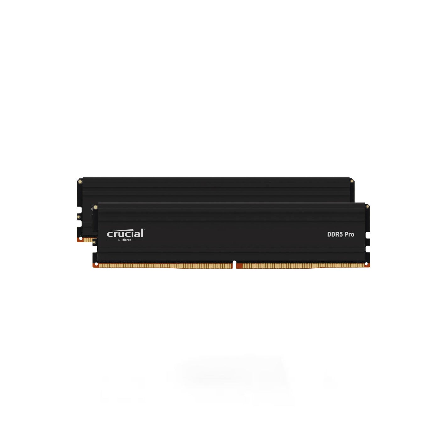 Crucial Pro 48GB Kit (24GBx2) DDR5 5600MHz CL46 Memory Module (CP2K24G56C46U5)