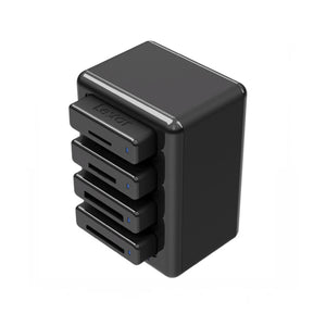 Lexar Hubs Leverage Thunderbolt 2 (LRWHR1RBNA)