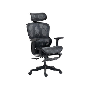 Ergonomic Chair INPLAY EF100-B V2