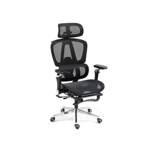 Ergonomic Chair INPLAY EF180-G