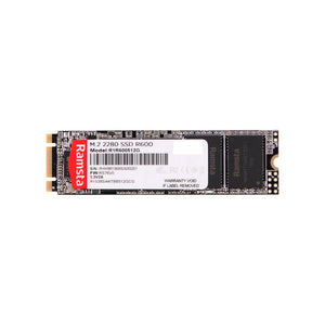 SSD STORAGE RAMSTA SSD NGFF M.2 R600 256GB